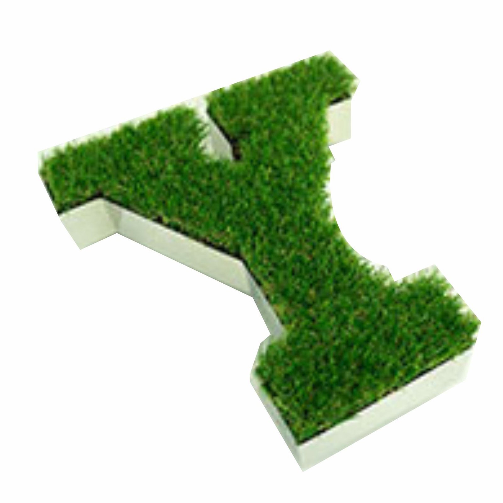 Çim (Butik) Kutuharf